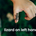 Lizard on the Left Hand for Male